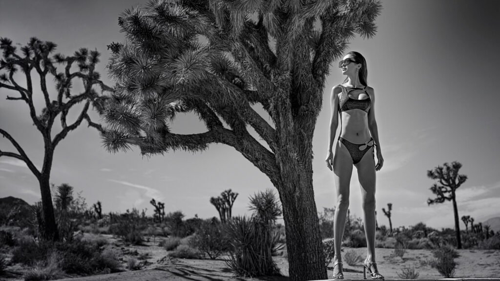 Commercial photography by Joshua Michael Shelton, Los Angeles