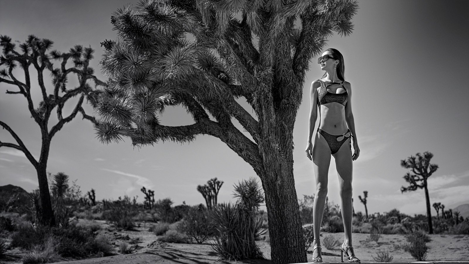 Fashion photographer Los Angeles editorial — Joshua Michael Shelton